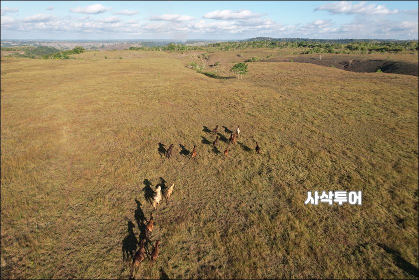 숨바부킷따나라019.JPG