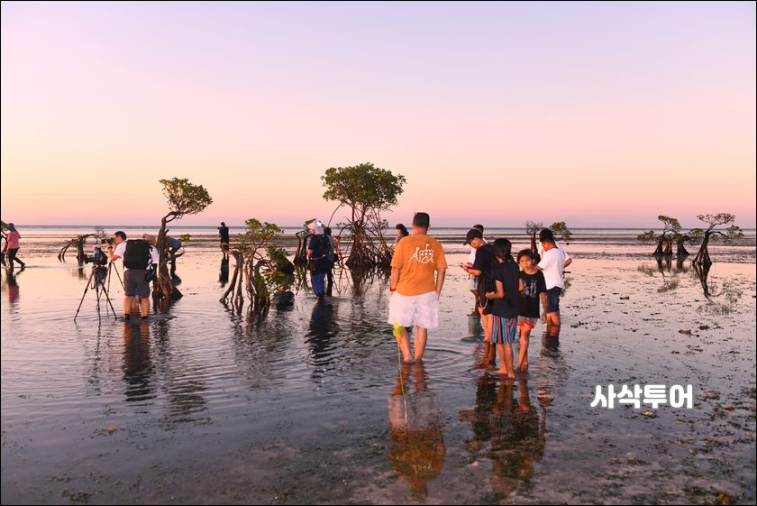 숨바왈라끼리선셋007.JPG