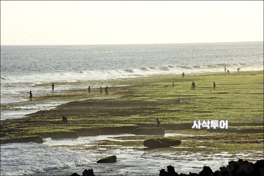 숨바 빼로 비치015.jpg