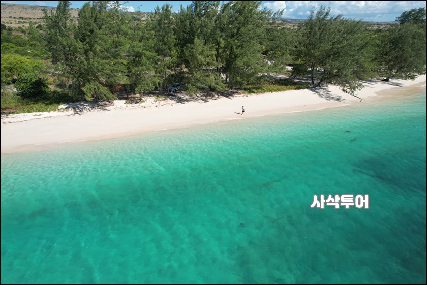 숨바여행지 전나무비치011.JPG