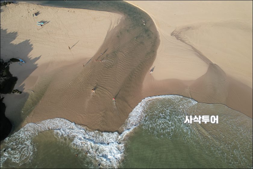 빤따이빼로 2.jpg