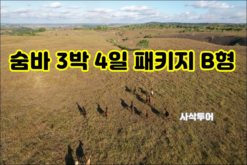 3박4일 B형.JPG
