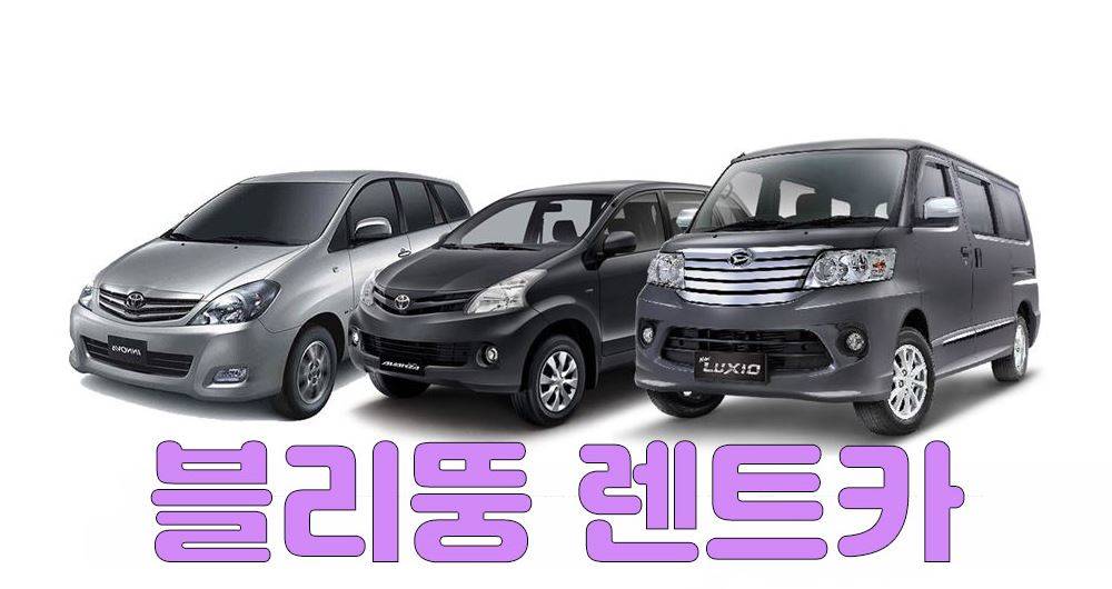 블리뚱렌트카.jpg