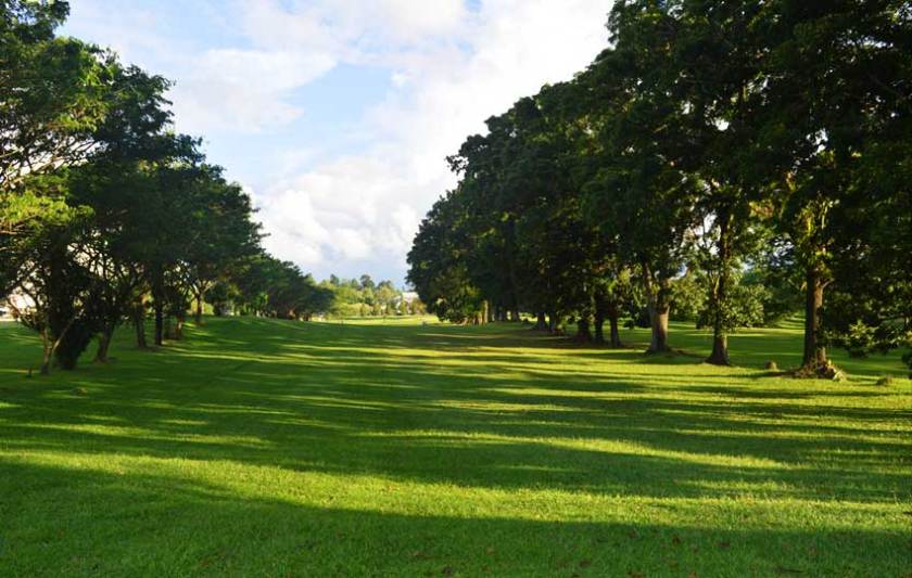 wenang golf 11.jpg