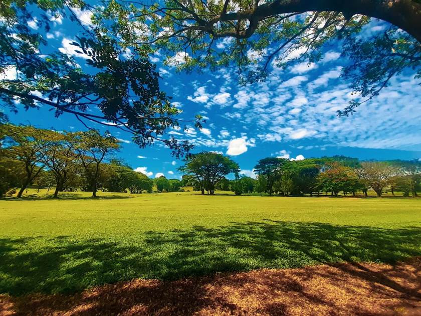 wenang golf 4.jpg