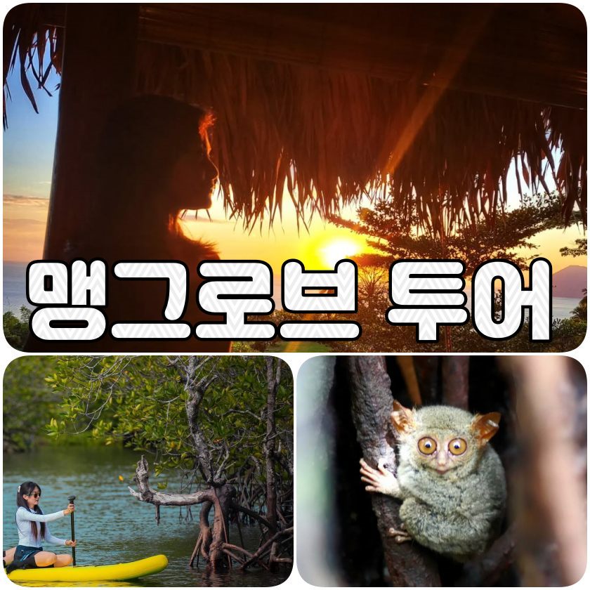 맹그로브투어.jpg