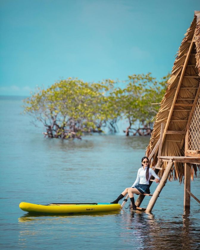 Darunu mangrove park 11.jpg