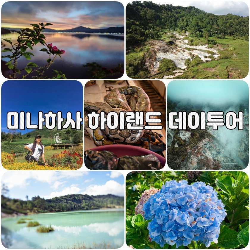 하이랜드.jpg