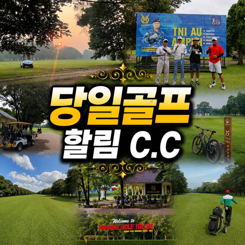 할림 당일골프.jpg