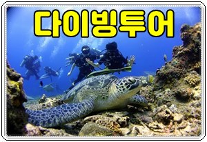 데이투어12001.jpg