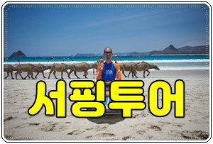 데이투어1004.jpg