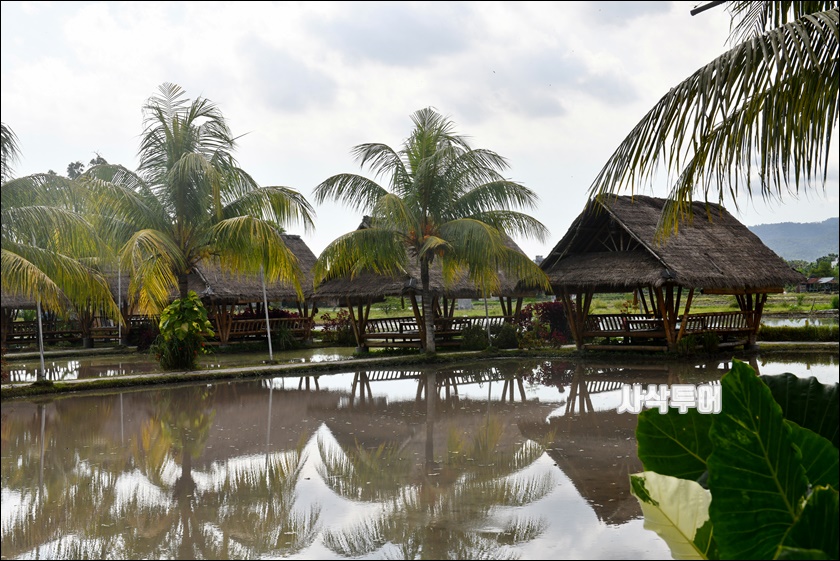 dapor sasakDSC_0914.JPG