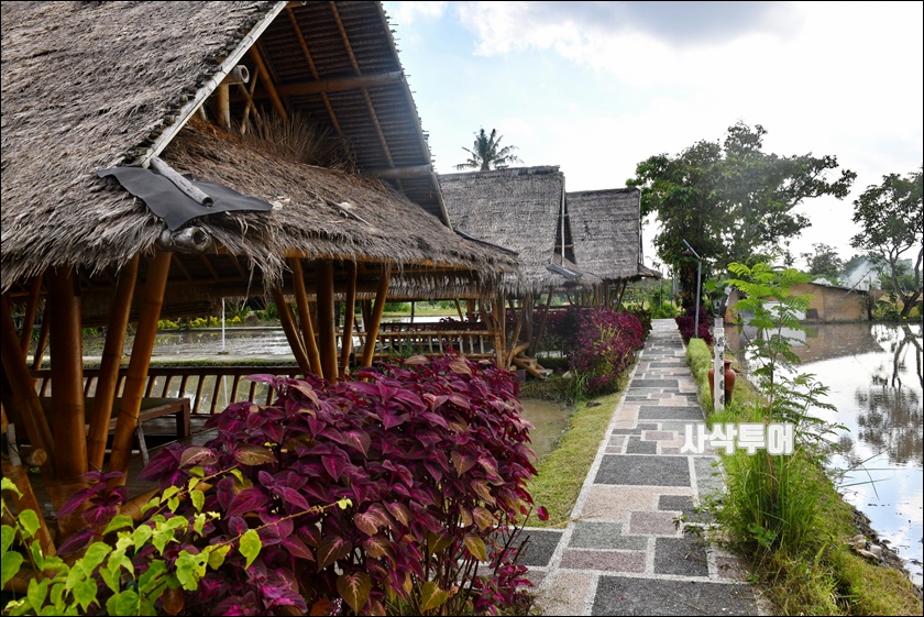 dapor sasakDSC_0951.JPG