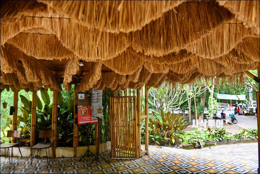 dapor sasakDSC_0902.JPG