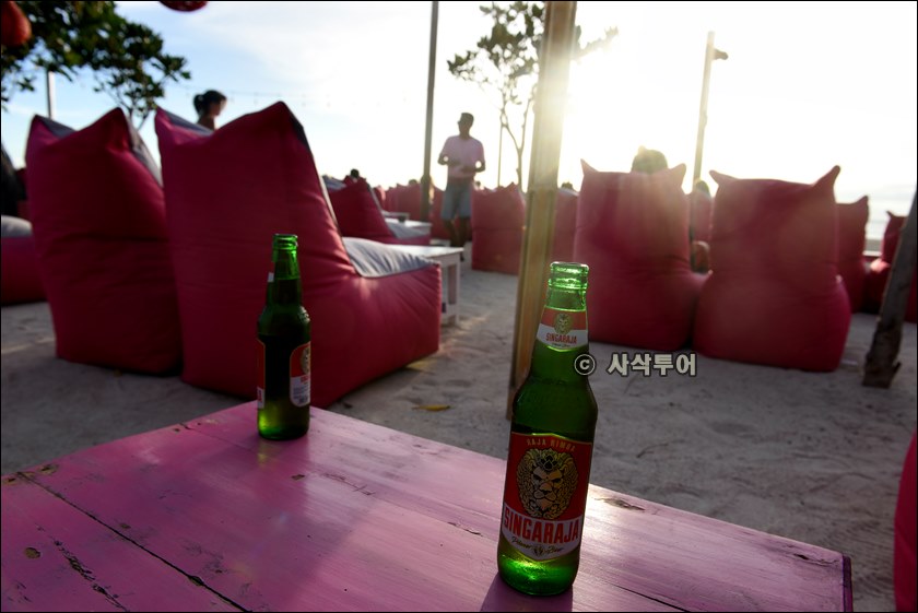 핑크코코012.JPG