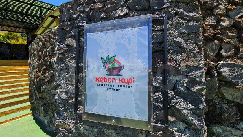 kupi sembalun20241006_120743.jpg