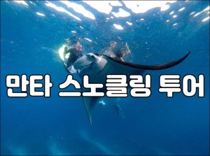 만타스노클링.jpg