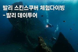 스킨스쿠버.jpg