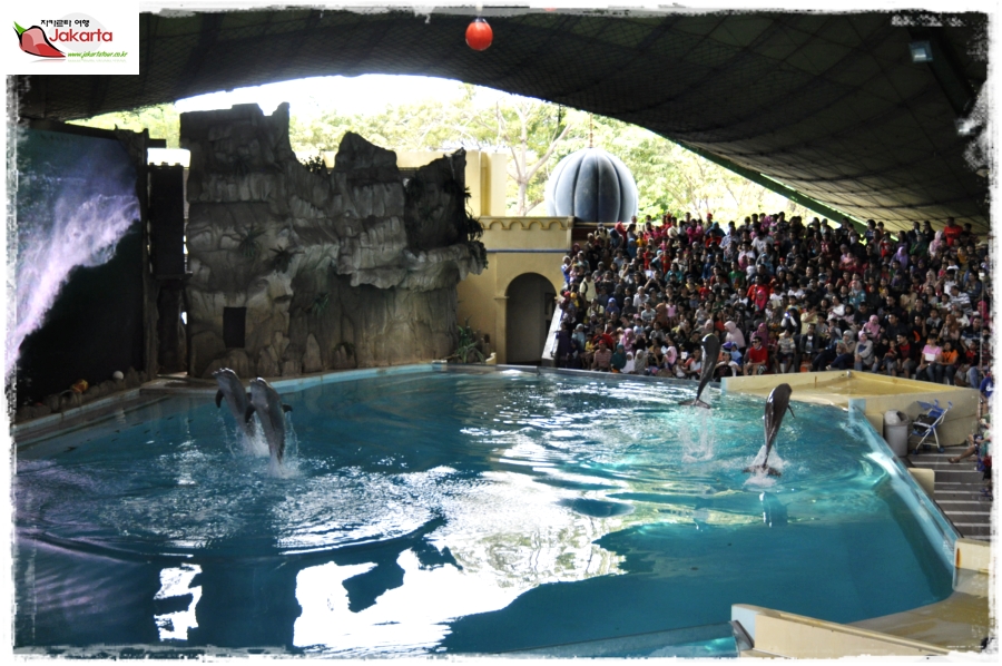 _DSC0008.JPG