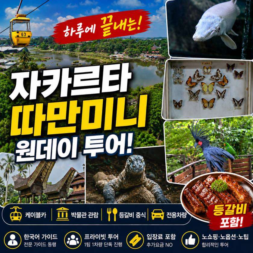 따만미니 원데이투어