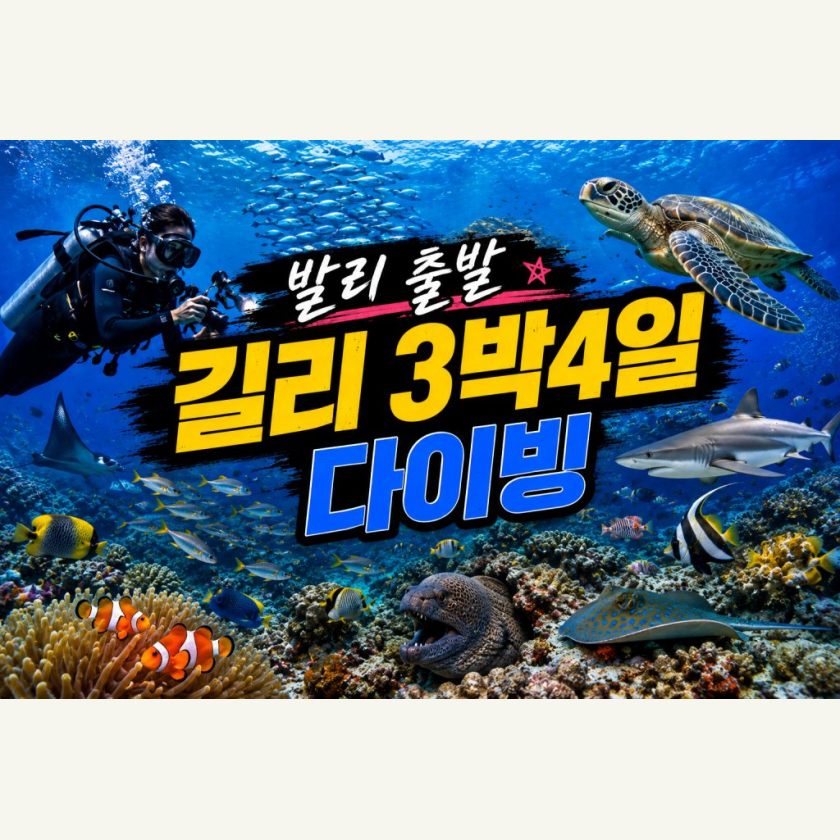 발리출발 길리 3박 4일 다이빙  패키지
