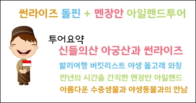 돌핀2.jpg