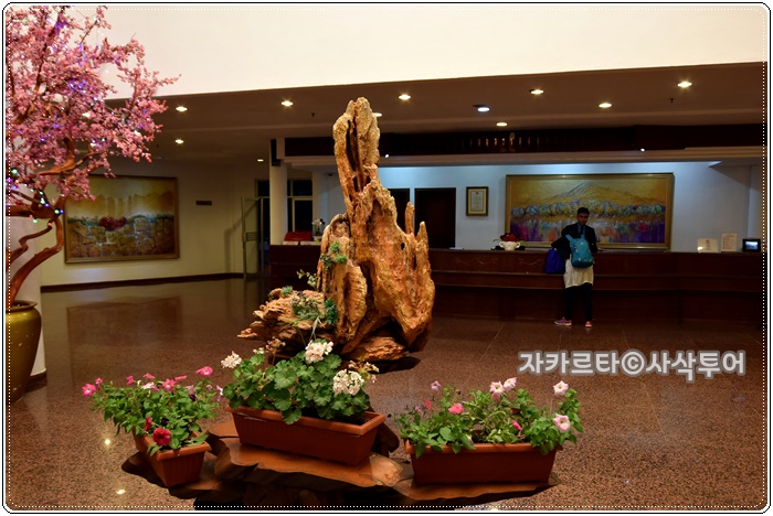 700DSC_6987.JPG