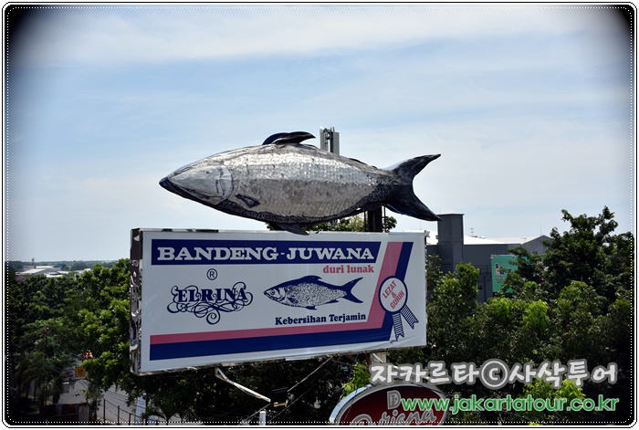 700DSC_5848.JPG