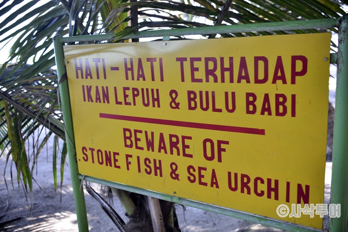 sepaR700_SIN5719.JPG