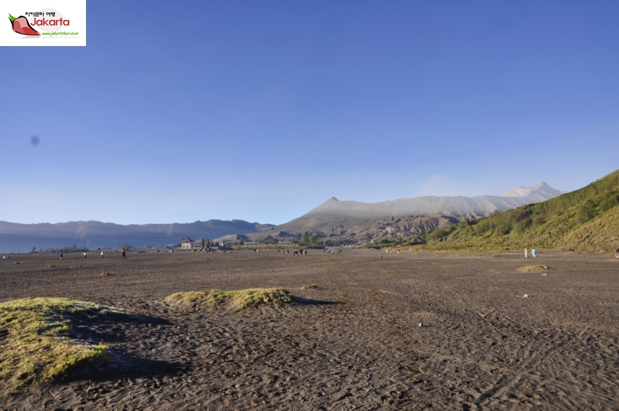 _DSC0990.JPG