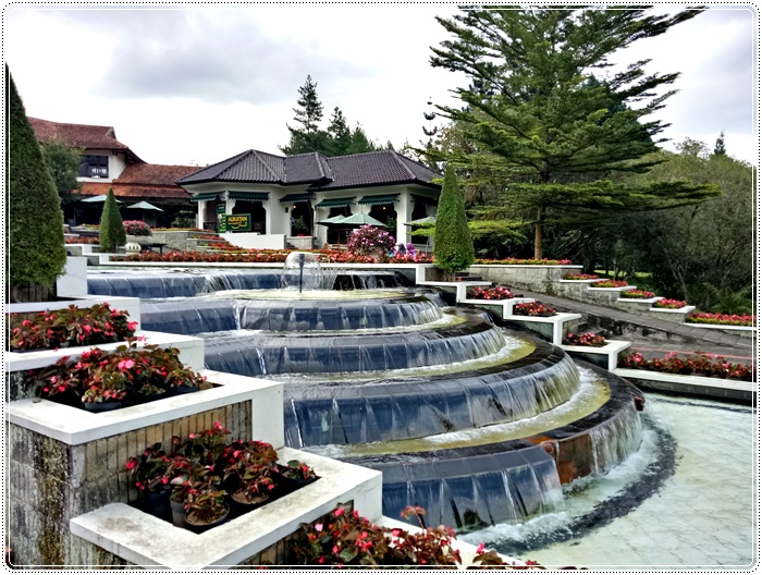 Taman bunga bogorIMG20161221153321.jpg