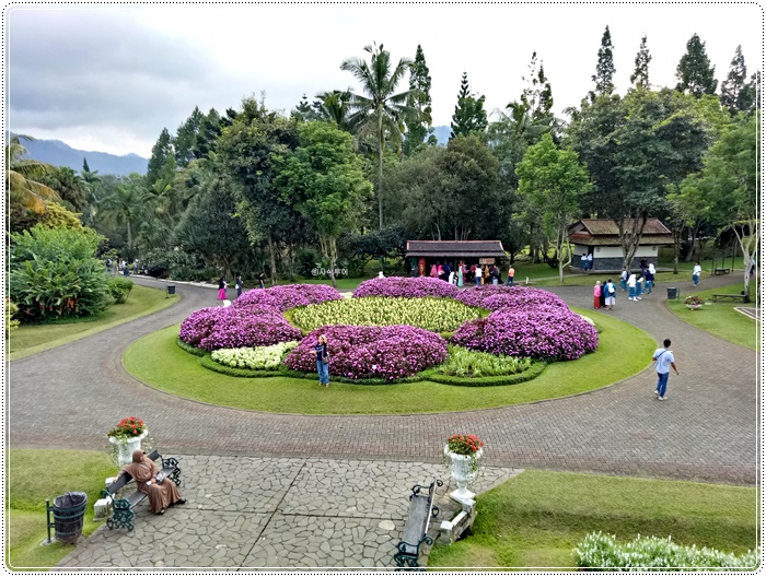 Taman bunga bogorIMG20161221155552.jpg
