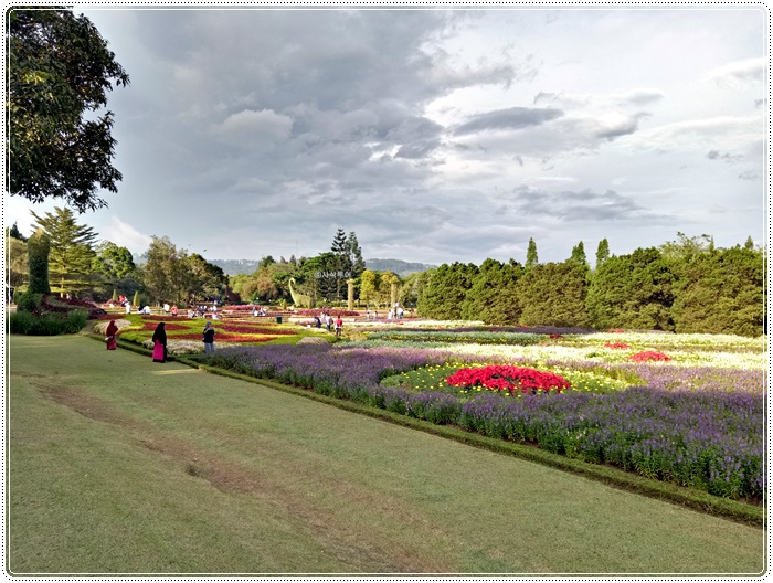 Taman bunga bogorIMG20161221164631.jpg