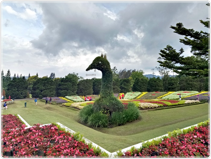 Taman bunga bogorIMG20161221152759.jpg