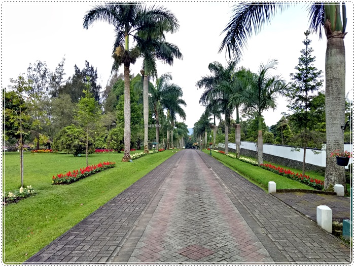 Taman bunga bogorIMG20161221163757.jpg