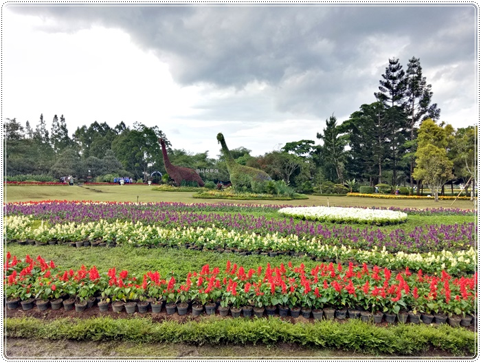 Taman bunga bogorIMG20161221153930.jpg