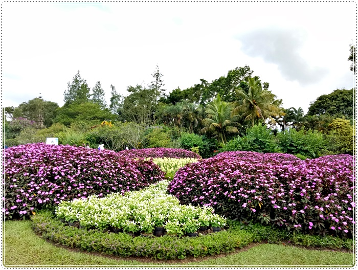 Taman bunga bogorIMG20161221155200.jpg