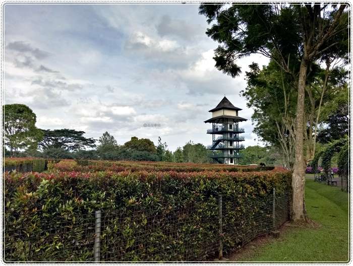Taman bunga bogorIMG20161221154940.jpg