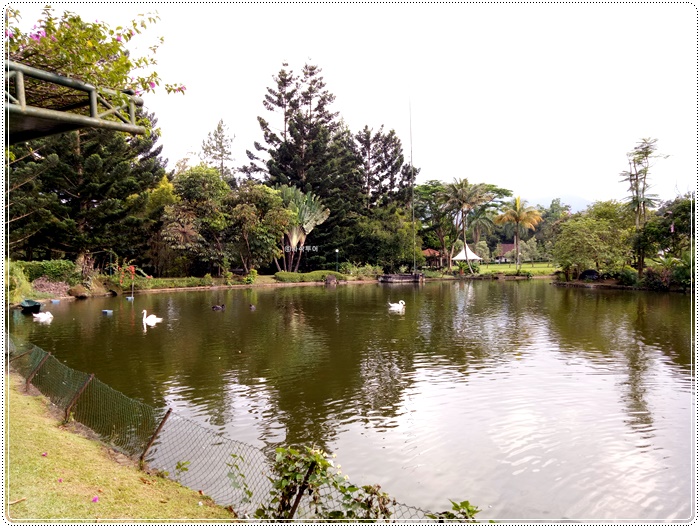 Taman bunga bogorIMG20161221154623.jpg