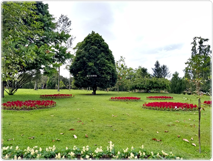 Taman bunga bogorIMG20161221163745.jpg