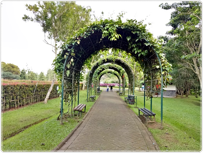 Taman bunga bogorIMG20161221154954.jpg