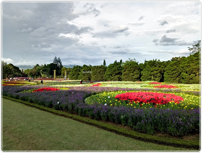 Taman bunga bogorIMG20161221164436.jpg