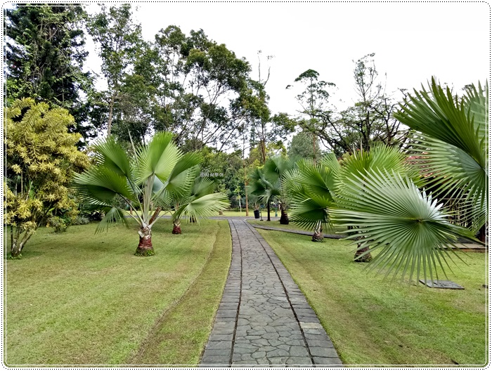 Taman bunga bogorIMG20161221161257.jpg