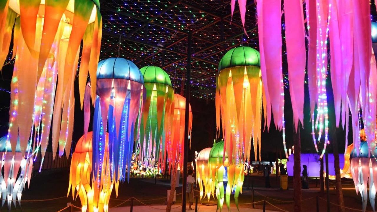 Lantern Park Lagoi.jpg