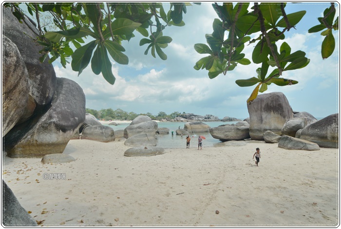 pulau kepayangSIN_6050.JPG
