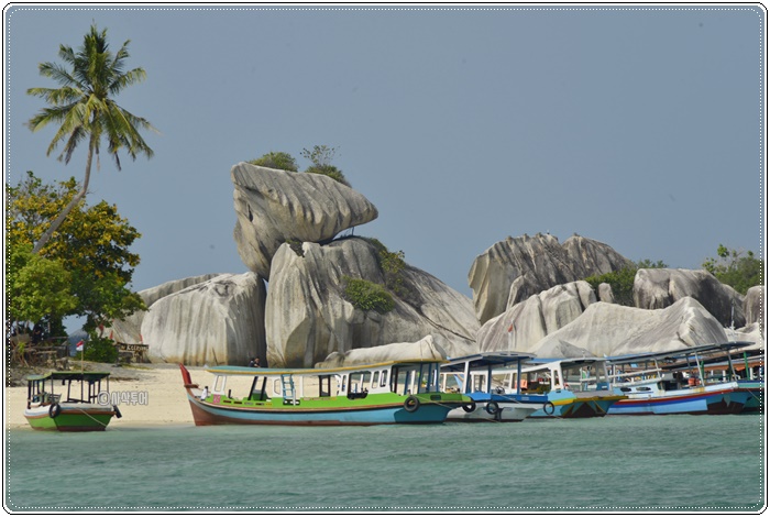 pulau kepayang_SIN8171.JPG