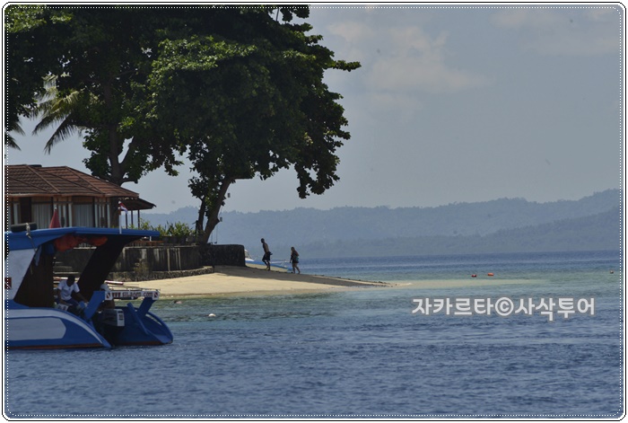 700_SIN7448.JPG
