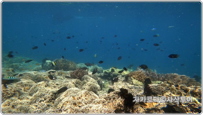 70020190522_020627.png