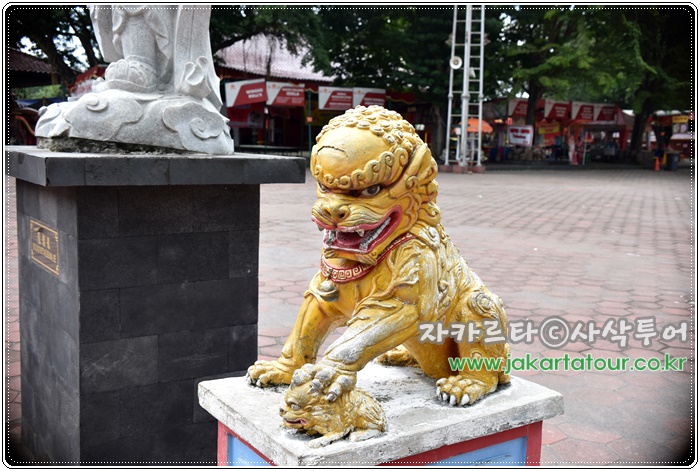 700DSC_5937.JPG