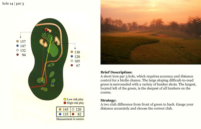 hole14.jpg